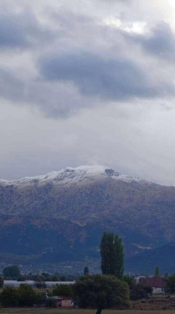 whatsapp-image-2025-10-08-at-10-45-39