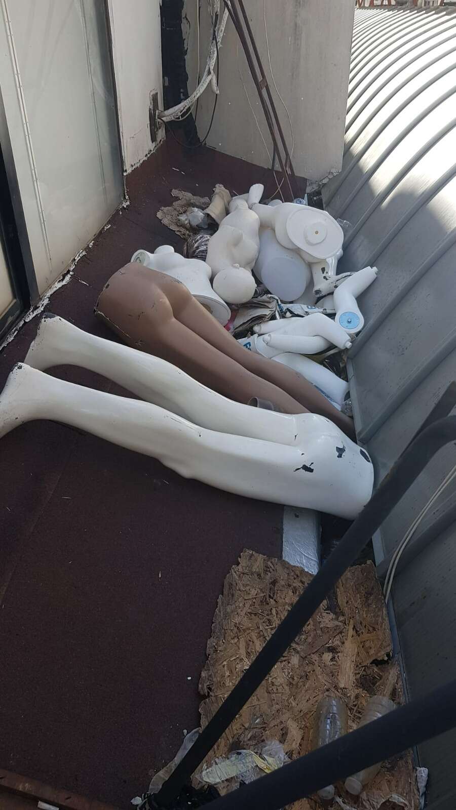 whatsapp-image-2025-10-08-at-14-09-26