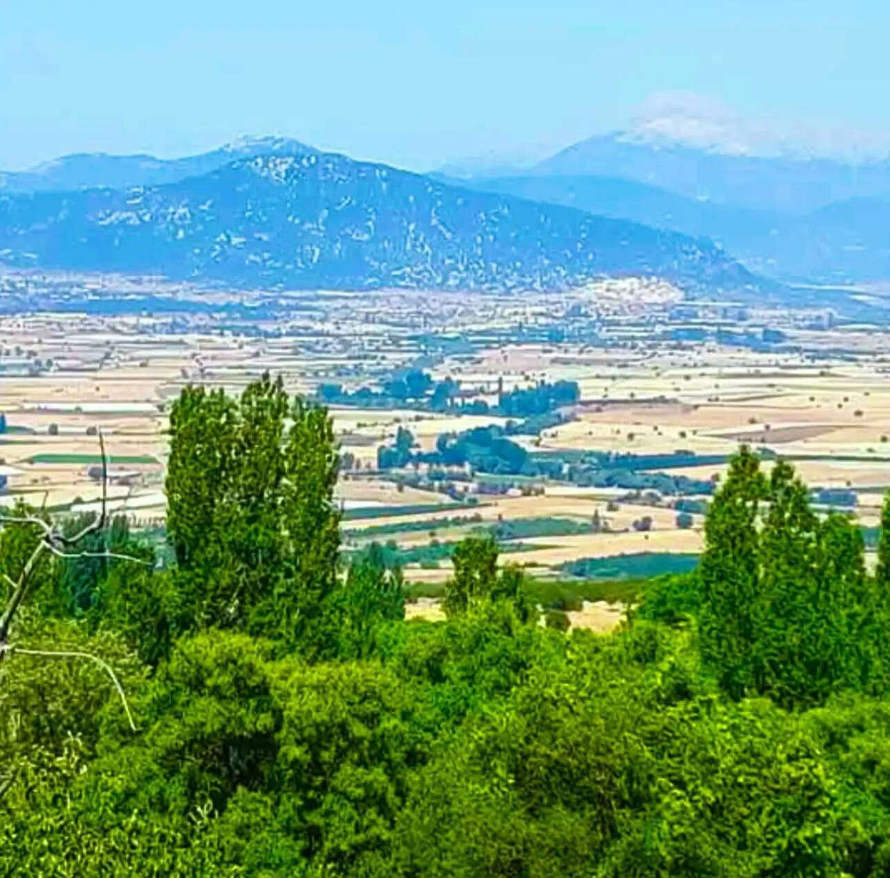 whatsapp-image-2025-10-09-at-11-22-46