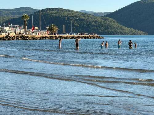 whatsapp-image-2025-10-12-at-17-30-31