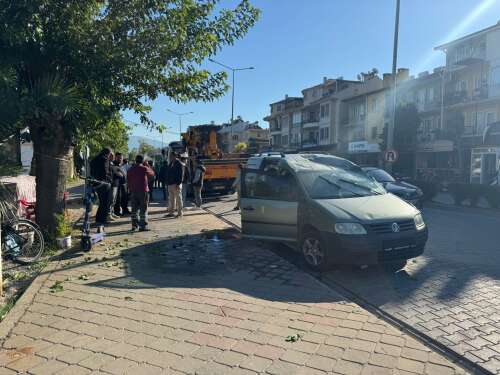 whatsapp-image-2025-10-17-at-11-02-48