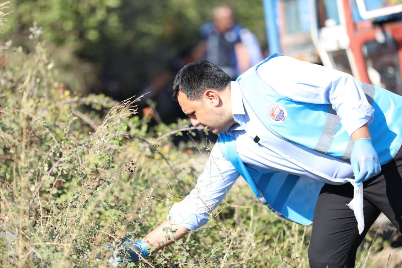 whatsapp-image-2025-10-17-at-11-17-36