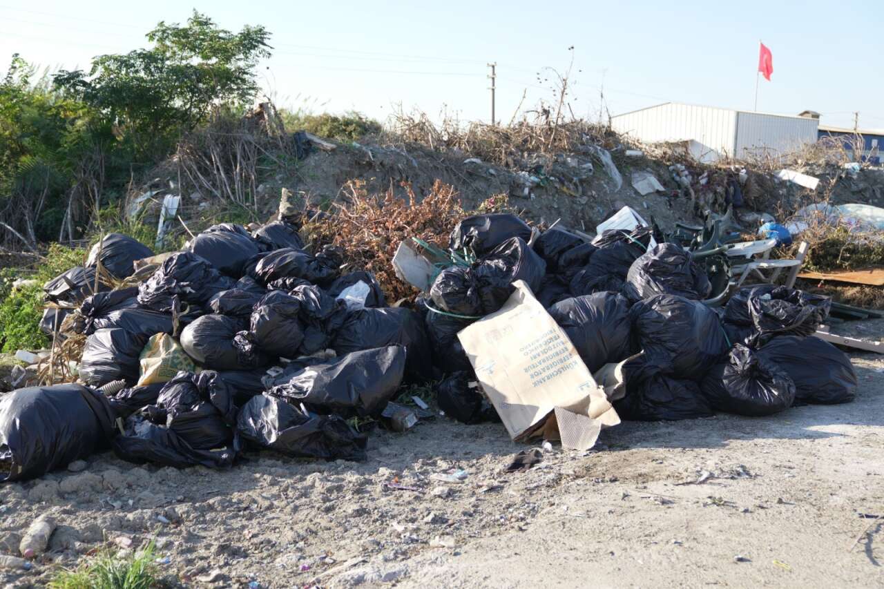 whatsapp-image-2025-10-17-at-11-17-39