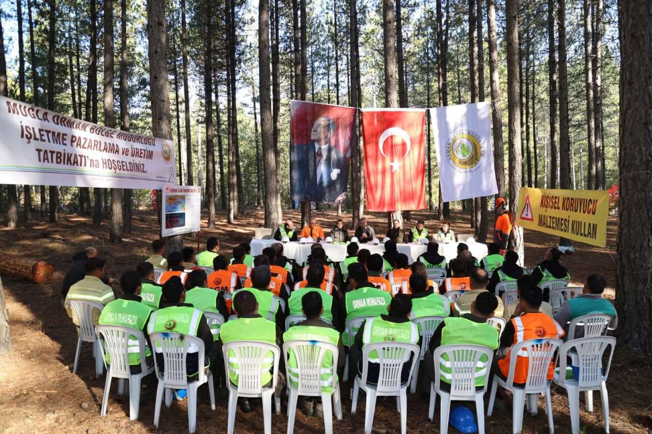 whatsapp-image-2025-10-18-at-13-00-14