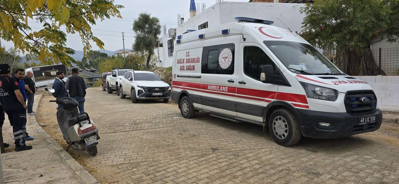 whatsapp-image-2025-10-20-at-15-48-16