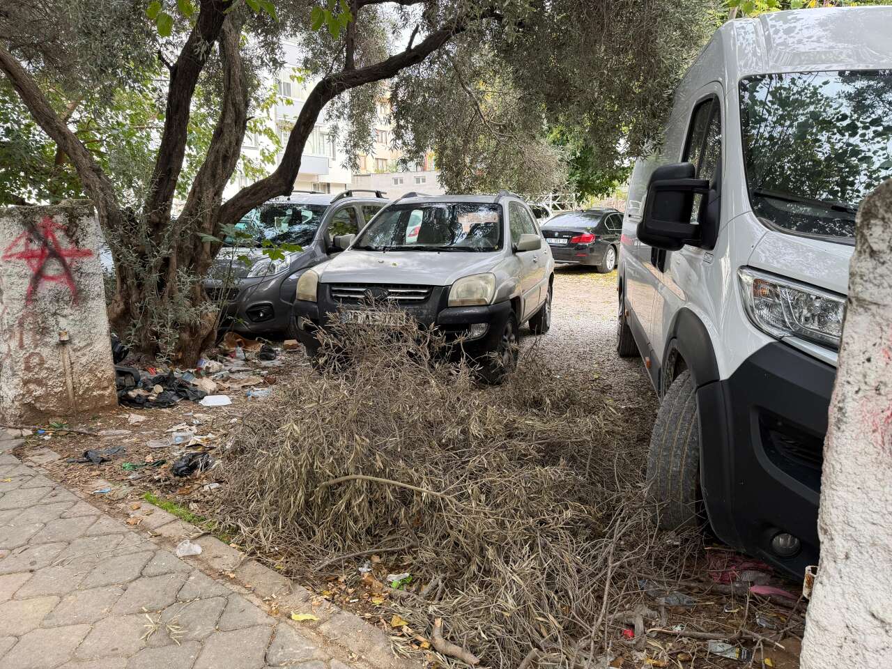 whatsapp-image-2025-10-23-at-09-41-51