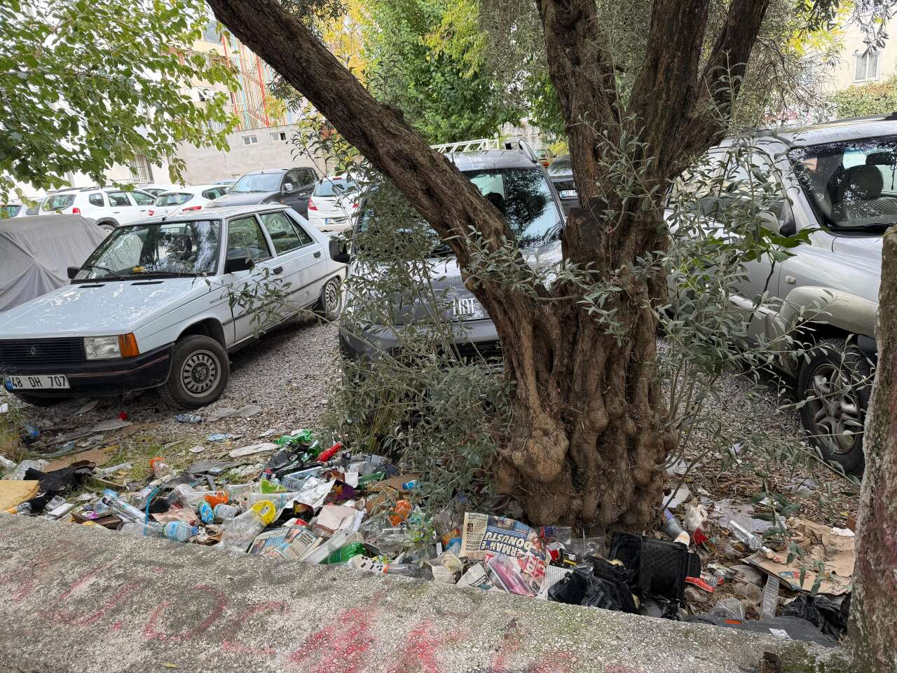 whatsapp-image-2025-10-23-at-09-41-51-1