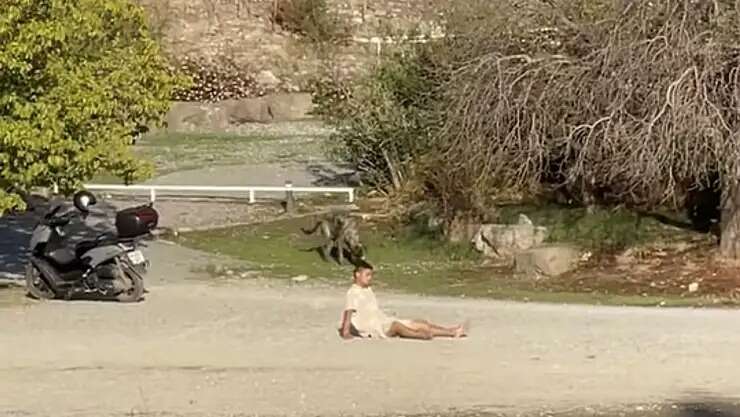 whatsapp-image-2025-10-27-at-09-12-20-1