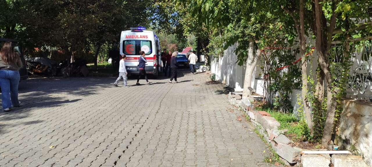 whatsapp-image-2025-10-27-at-13-03-42