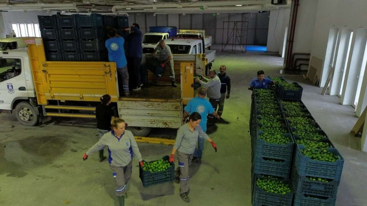 whatsapp-image-2025-10-27-at-13-50-56-1