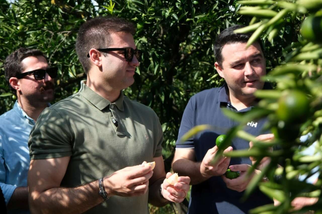 whatsapp-image-2025-10-27-at-13-50-56