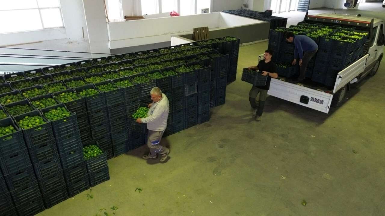 whatsapp-image-2025-10-27-at-13-50-57-2