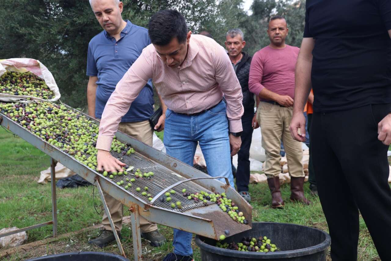 whatsapp-image-2025-10-27-at-15-32-52