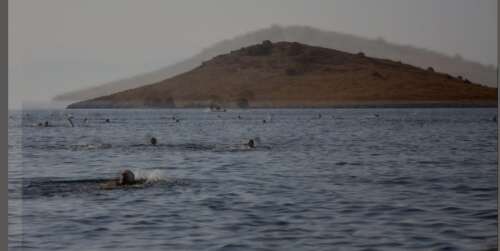 whatsapp-image-2025-10-28-at-19-18-50-1