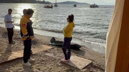 whatsapp-image-2025-10-28-at-19-18-57