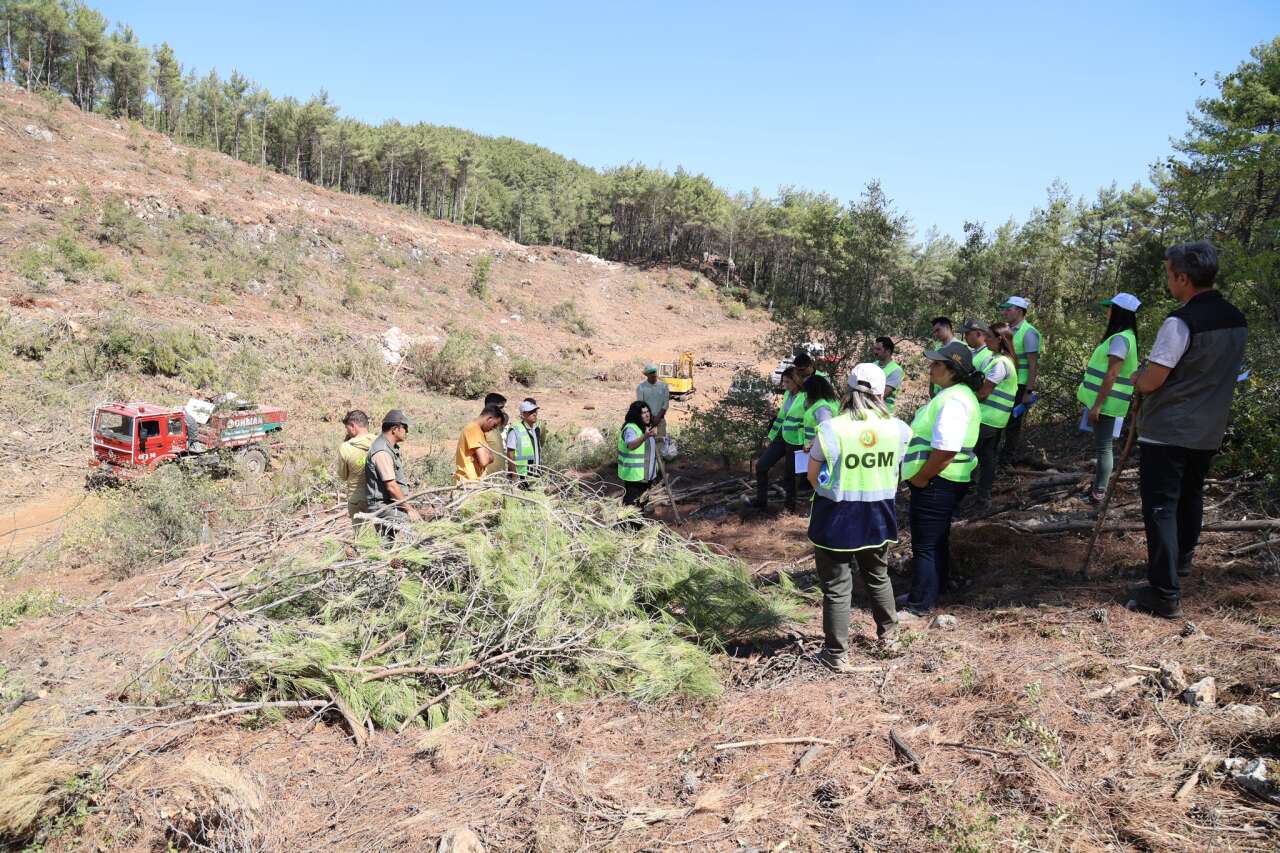 572029485-1841398803138768-1302604739503182279-n