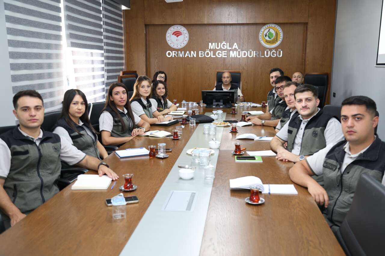 572379001-1841398383138810-8593708831870625864-n