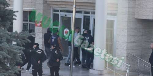 whatsapp-image-2025-10-31-at-11-05-28-1