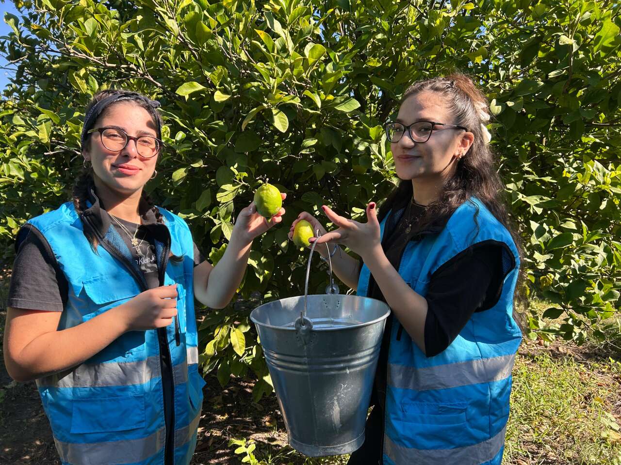 aa-20251102-39592188-39592186-muglada-genclerden-narenciye-toplayan-iscilerine-destek