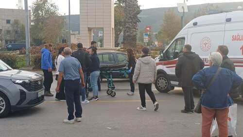 whatsapp-image-2025-11-02-at-17-12-24-1