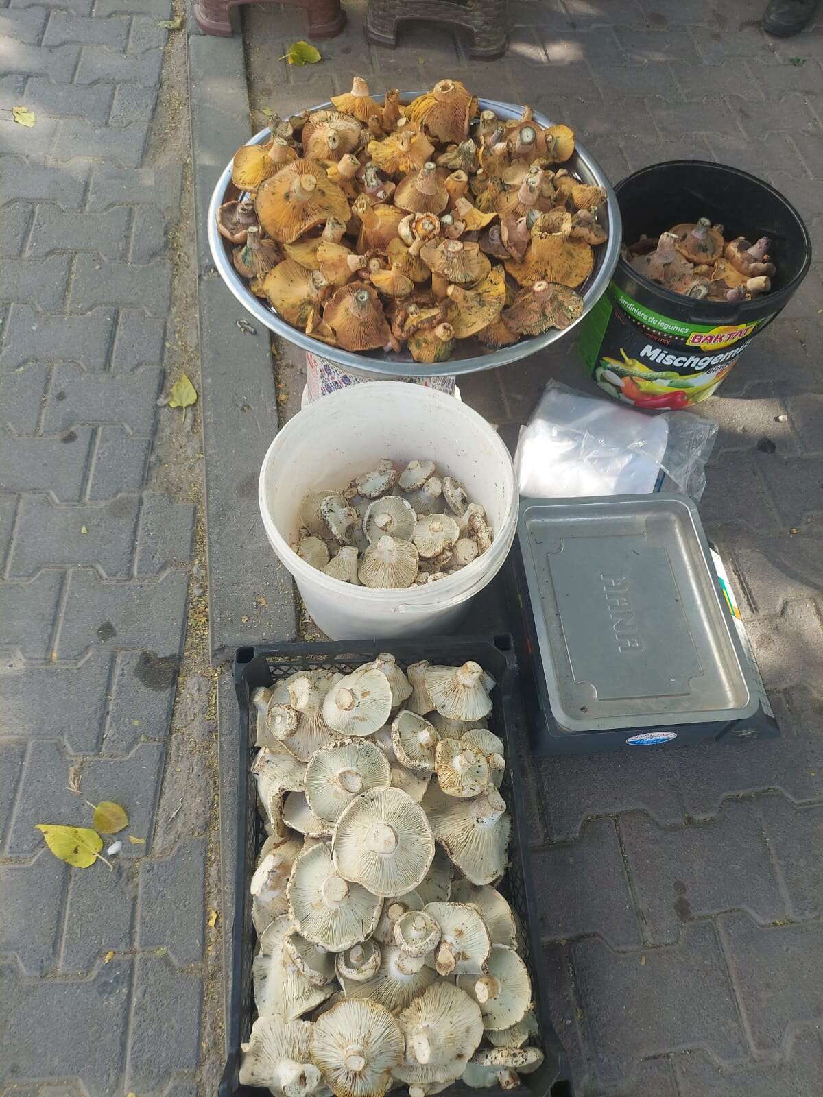 whatsapp-image-2025-11-04-at-20-50-02