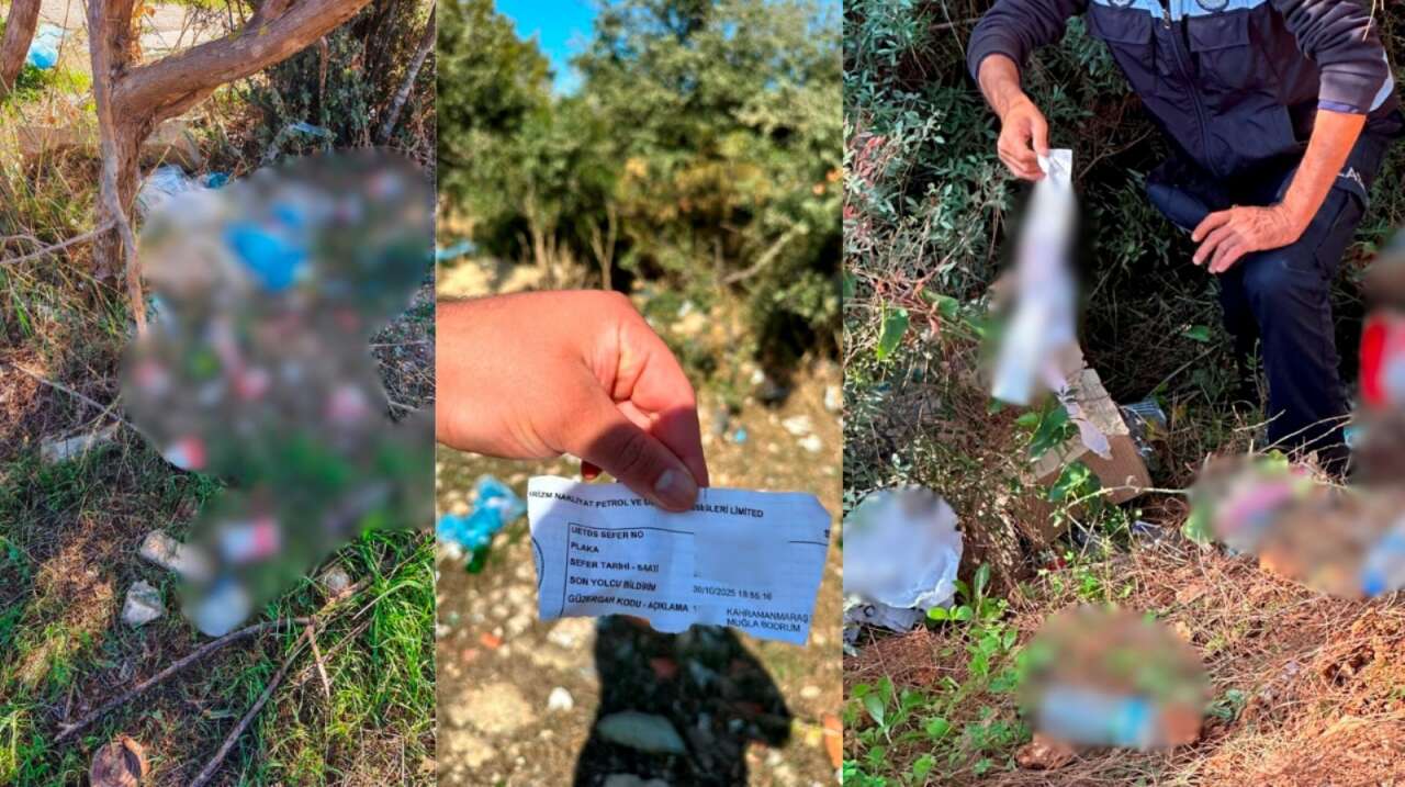 whatsapp-image-2025-11-06-at-15-01-41