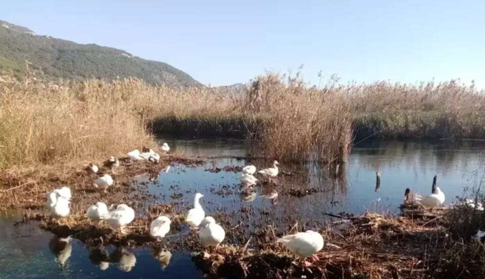 whatsapp-image-2025-11-08-at-15-46-21-1