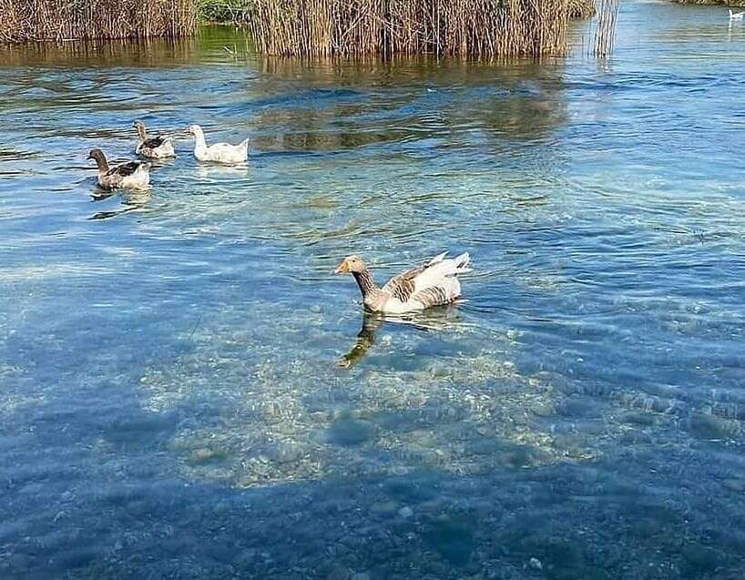 9c2f3119-d0c2-4f1d-be27-04608b640016-2