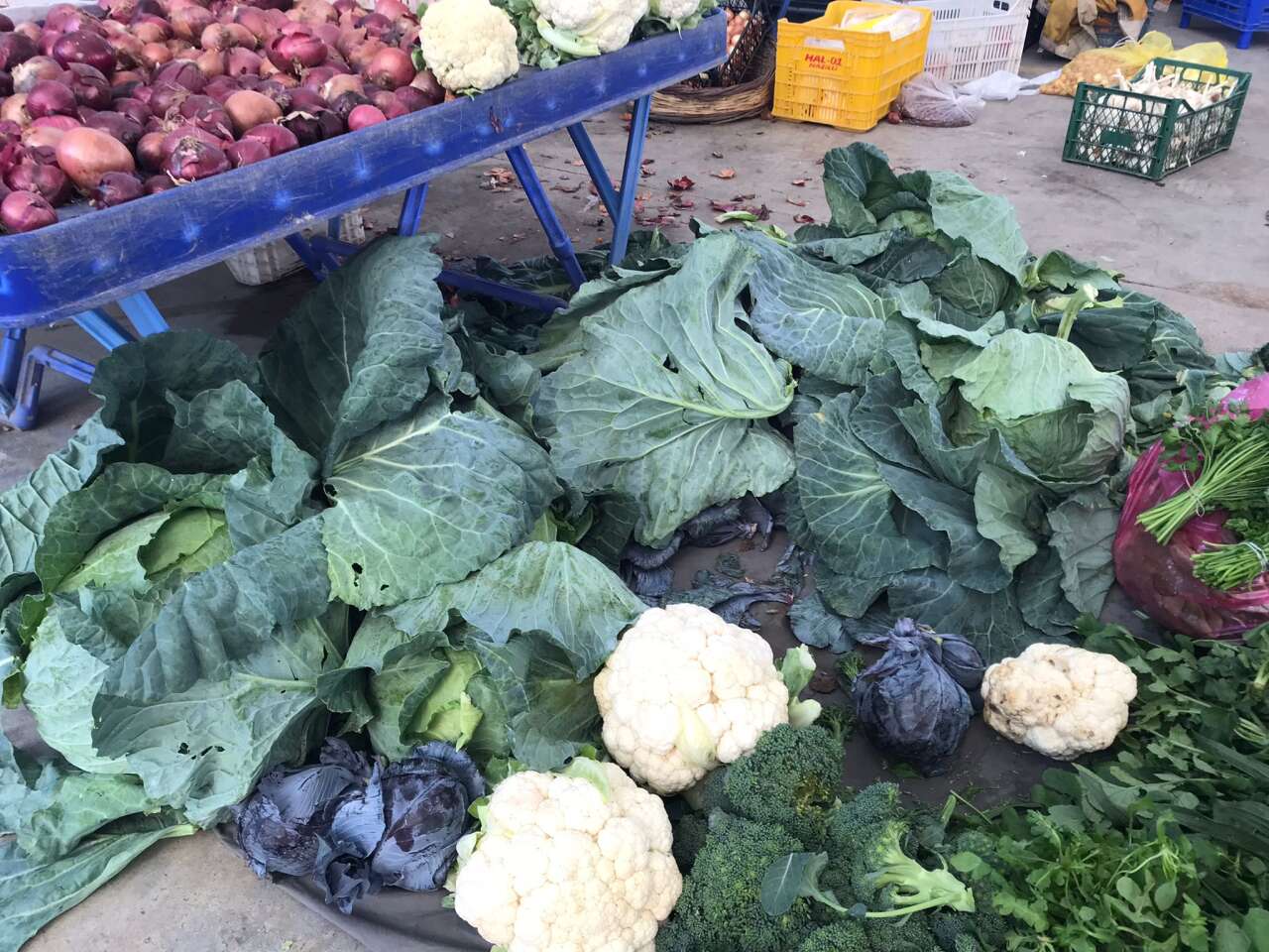 whatsapp-image-2025-11-09-at-14-52-24-2