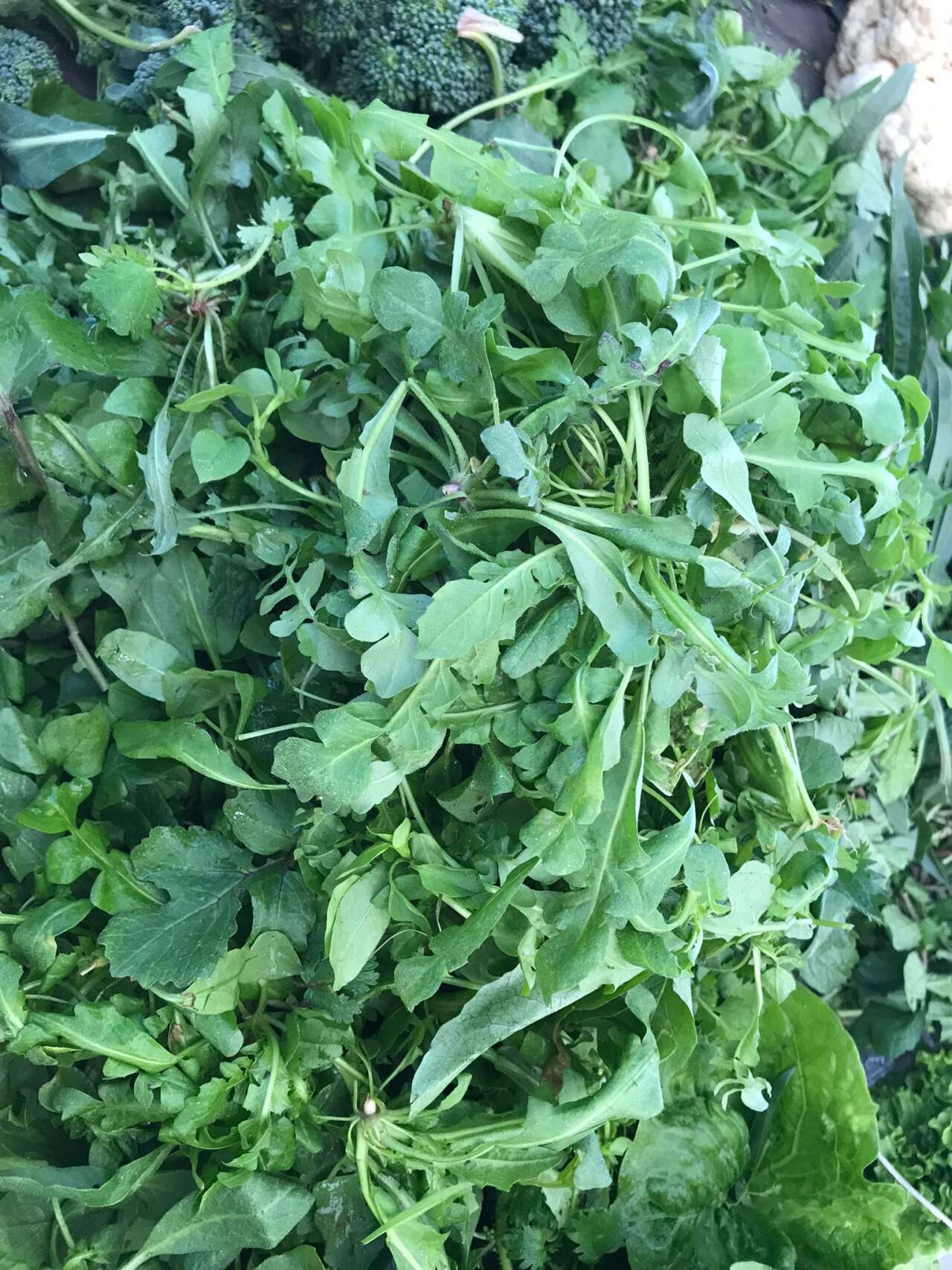 whatsapp-image-2025-11-09-at-14-52-24