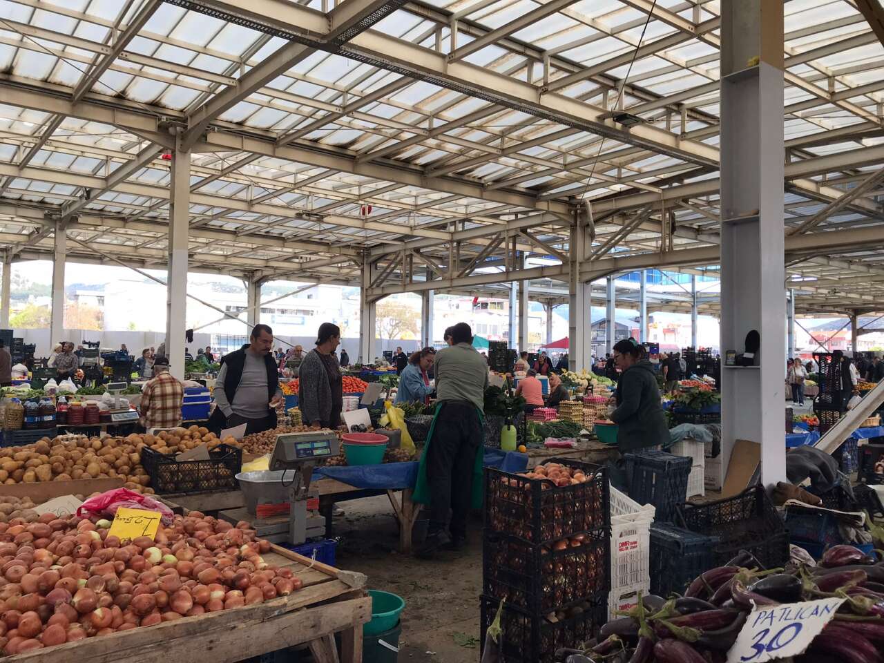 whatsapp-image-2025-11-09-at-16-02-51