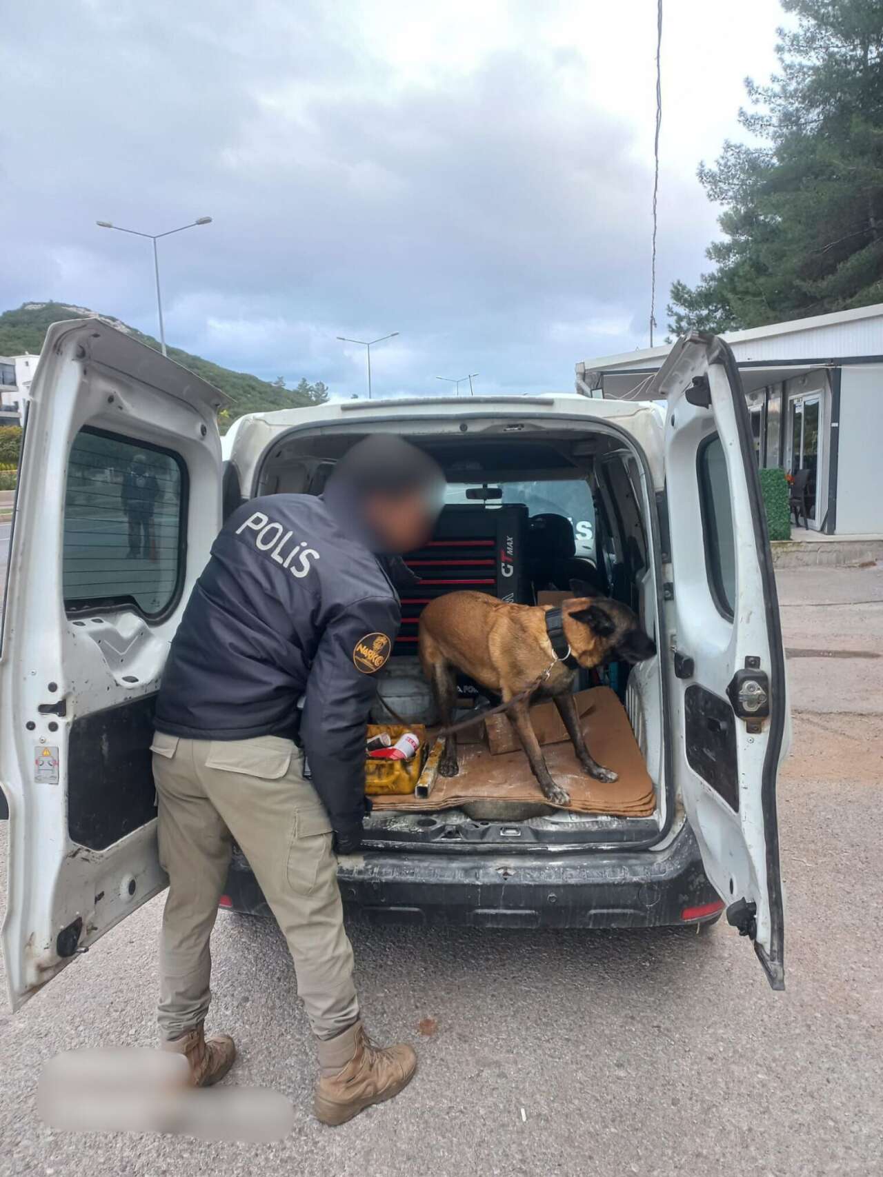 whatsapp-image-2025-11-09-at-18-56-49