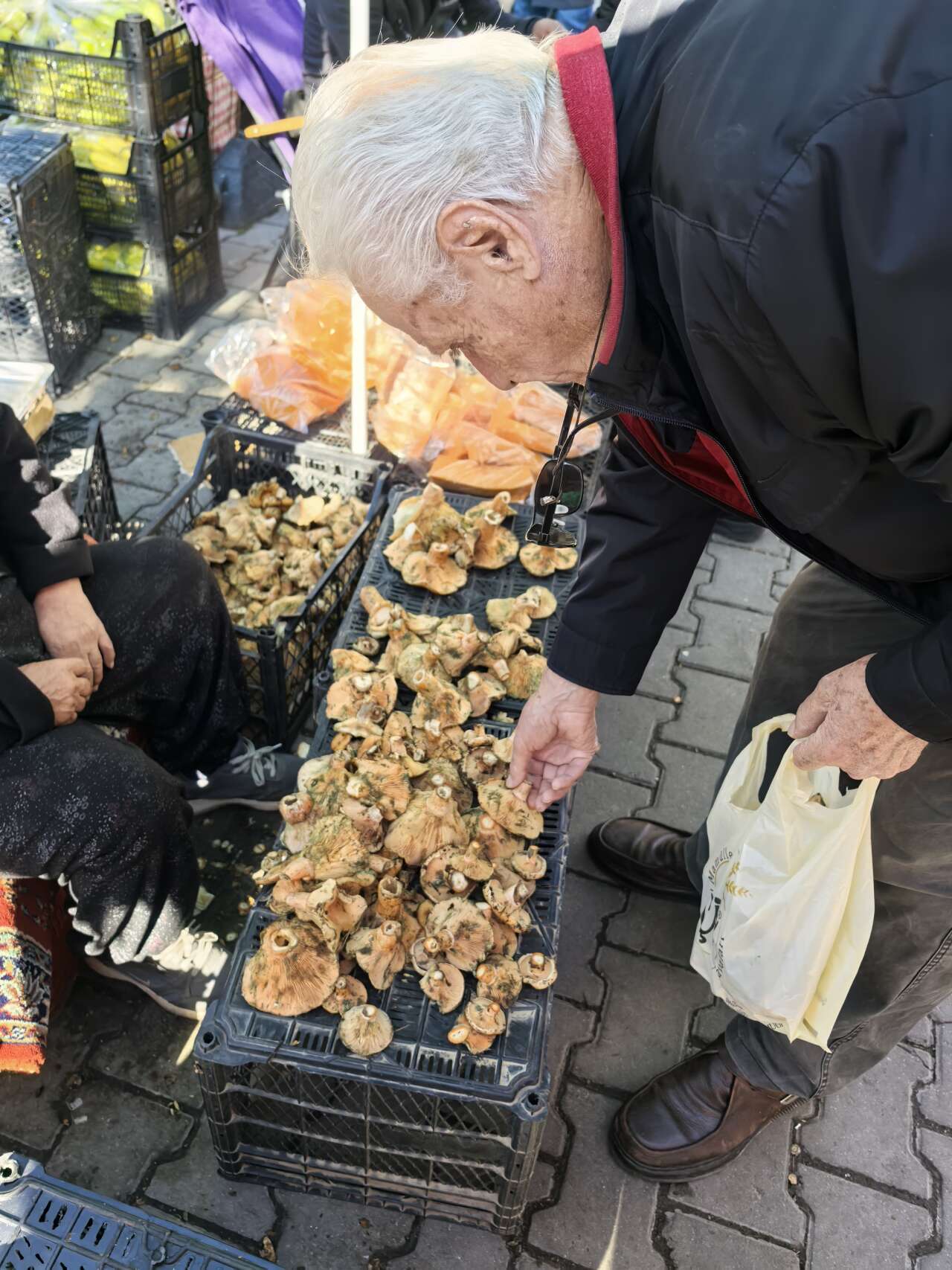 whatsapp-image-2025-11-13-at-12-18-03