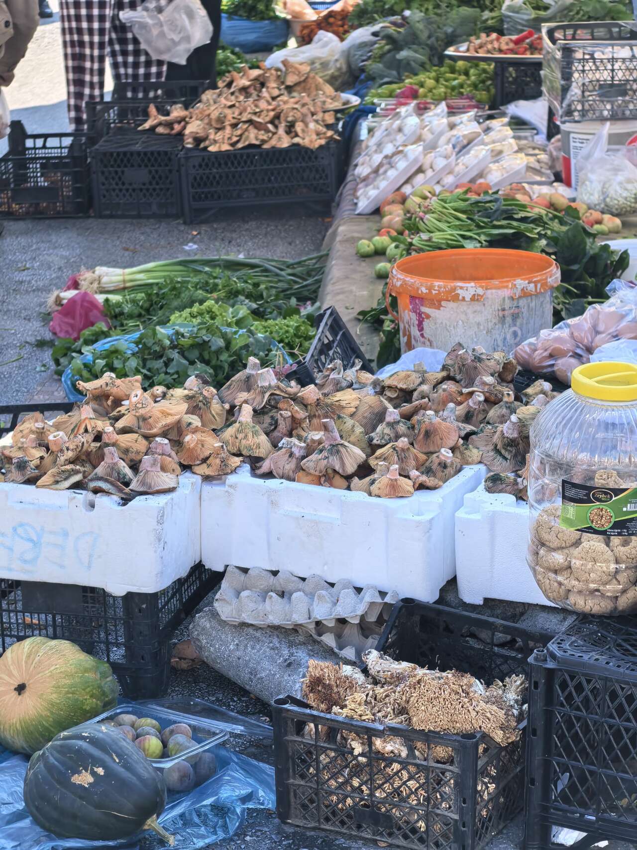 whatsapp-image-2025-11-13-at-12-18-06-1