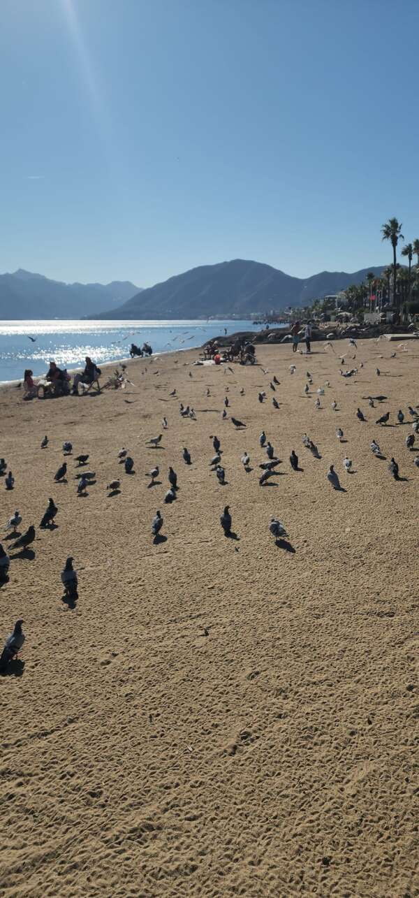 whatsapp-image-2025-11-15-at-14-46-16-1