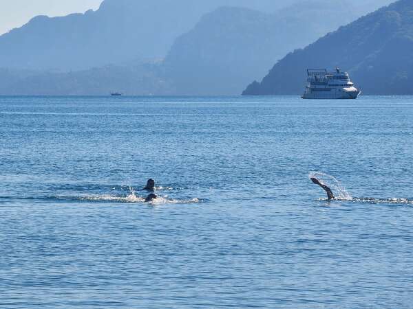 whatsapp-image-2025-11-15-at-14-46-16