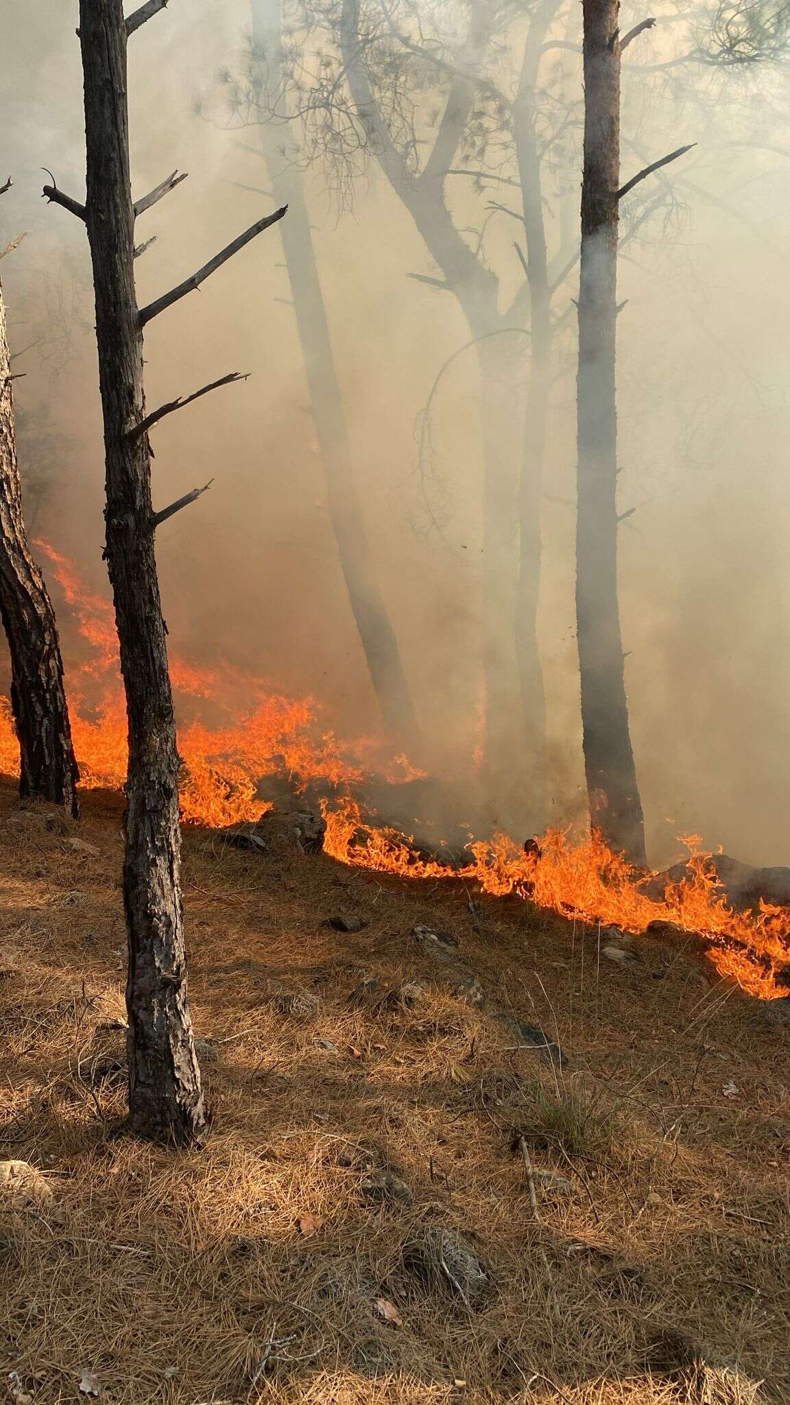 whatsapp-image-2025-11-16-at-14-26-07