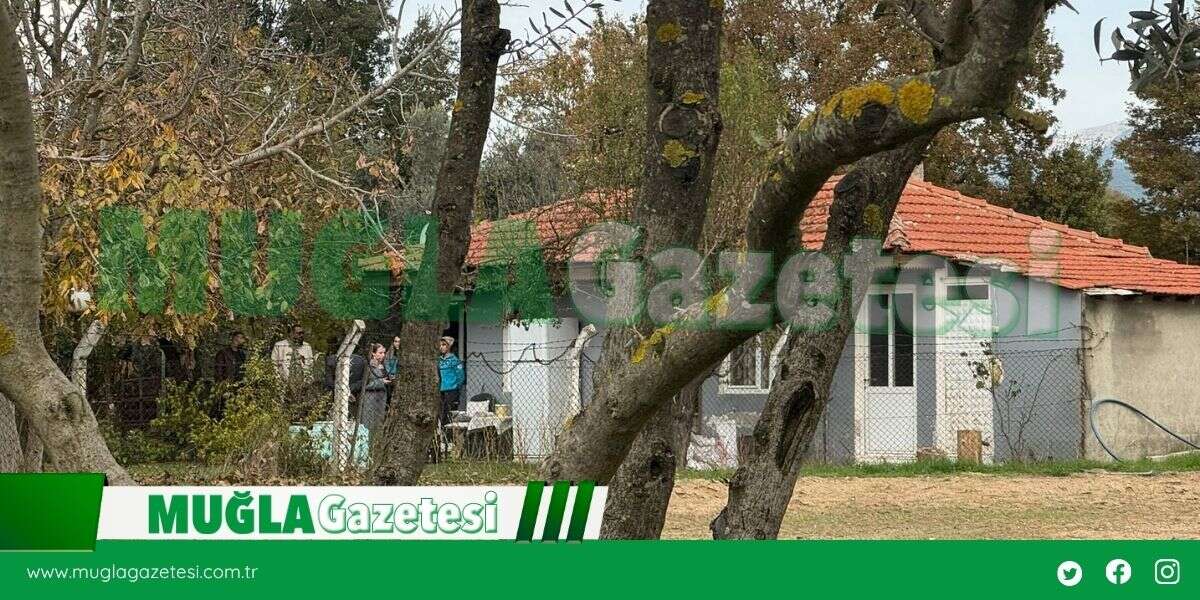 esin-2025-11-19t142623-474