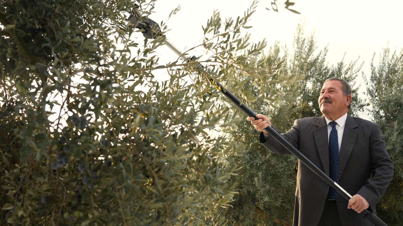 whatsapp-image-2025-11-19-at-13-00-18