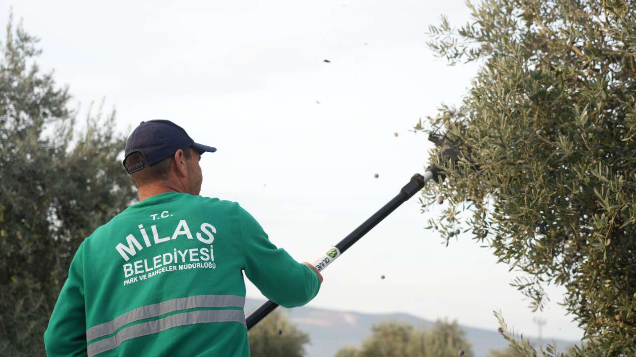 whatsapp-image-2025-11-19-at-13-00-19