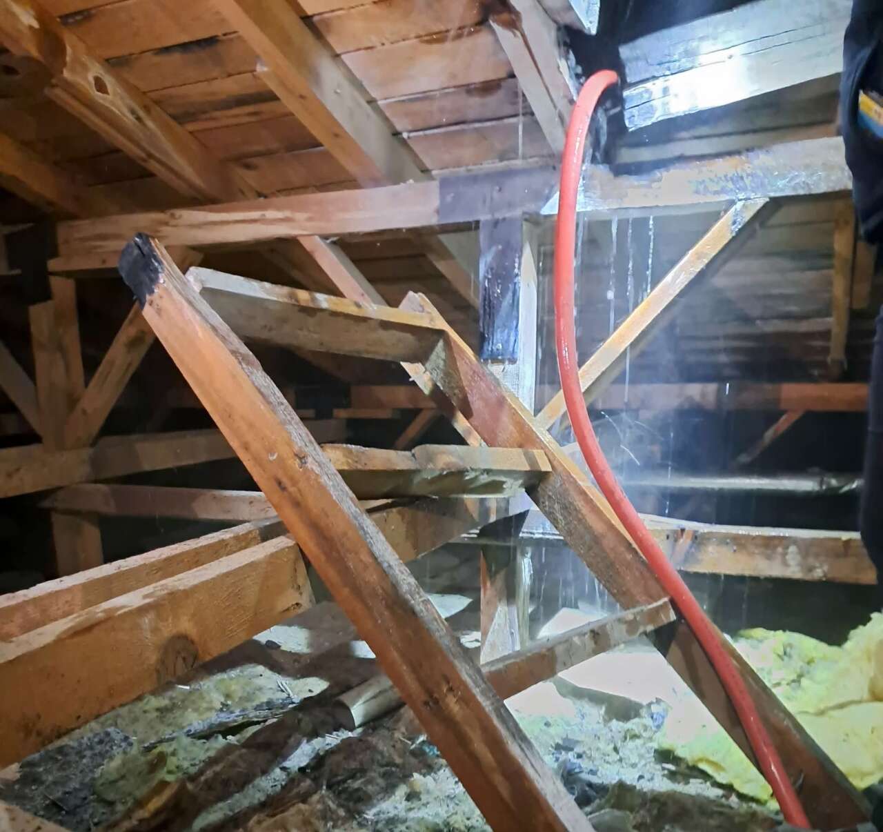 whatsapp-image-2025-11-19-at-23-48-29