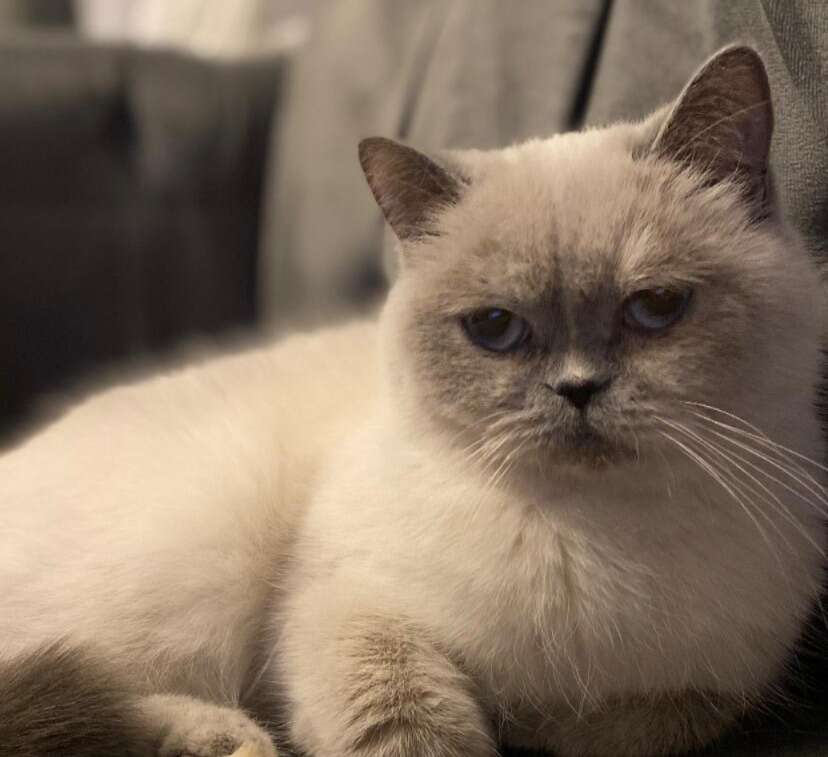 whatsapp-image-2025-11-21-at-09-17-14