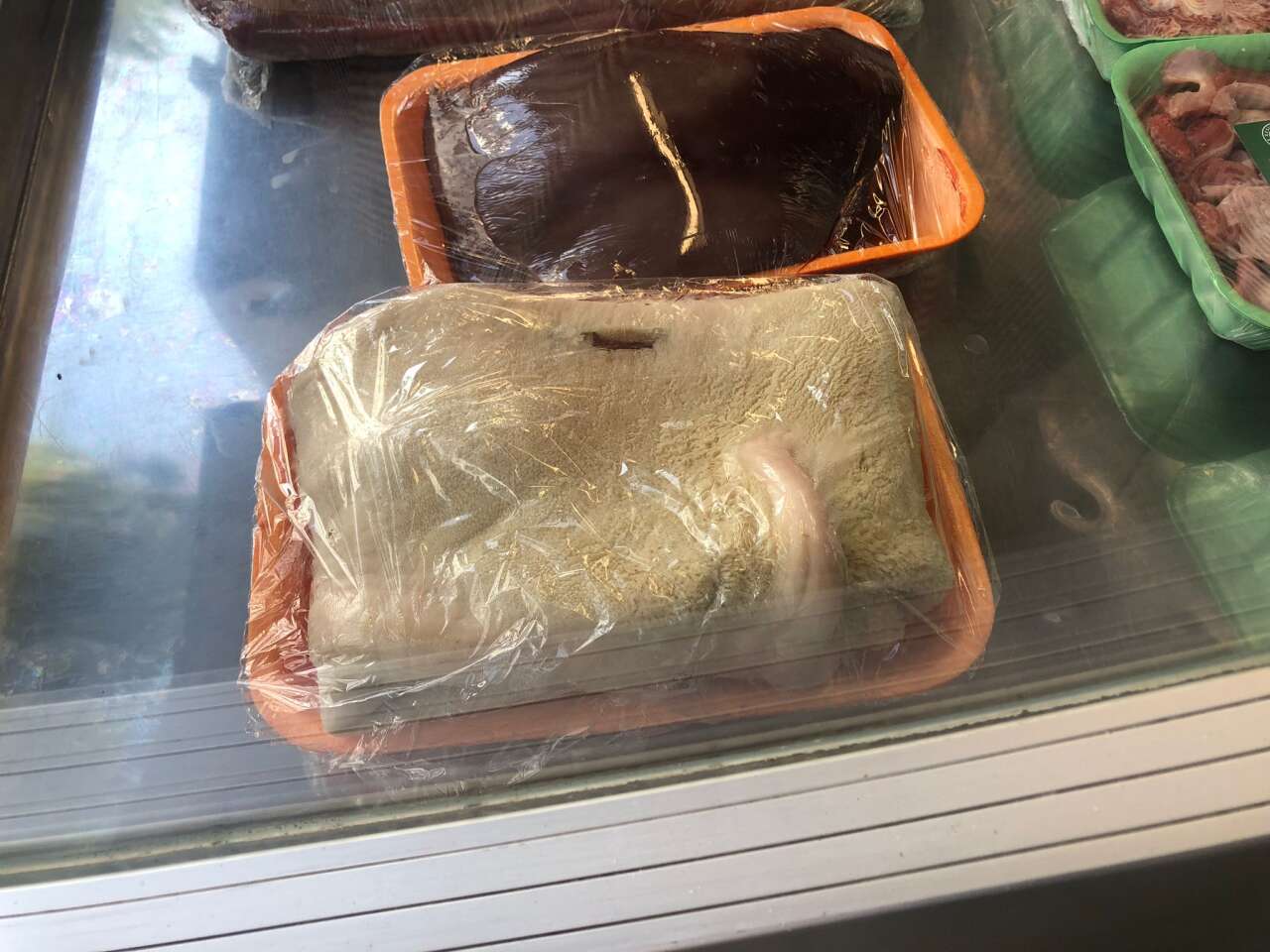 whatsapp-image-2025-11-21-at-14-26-54