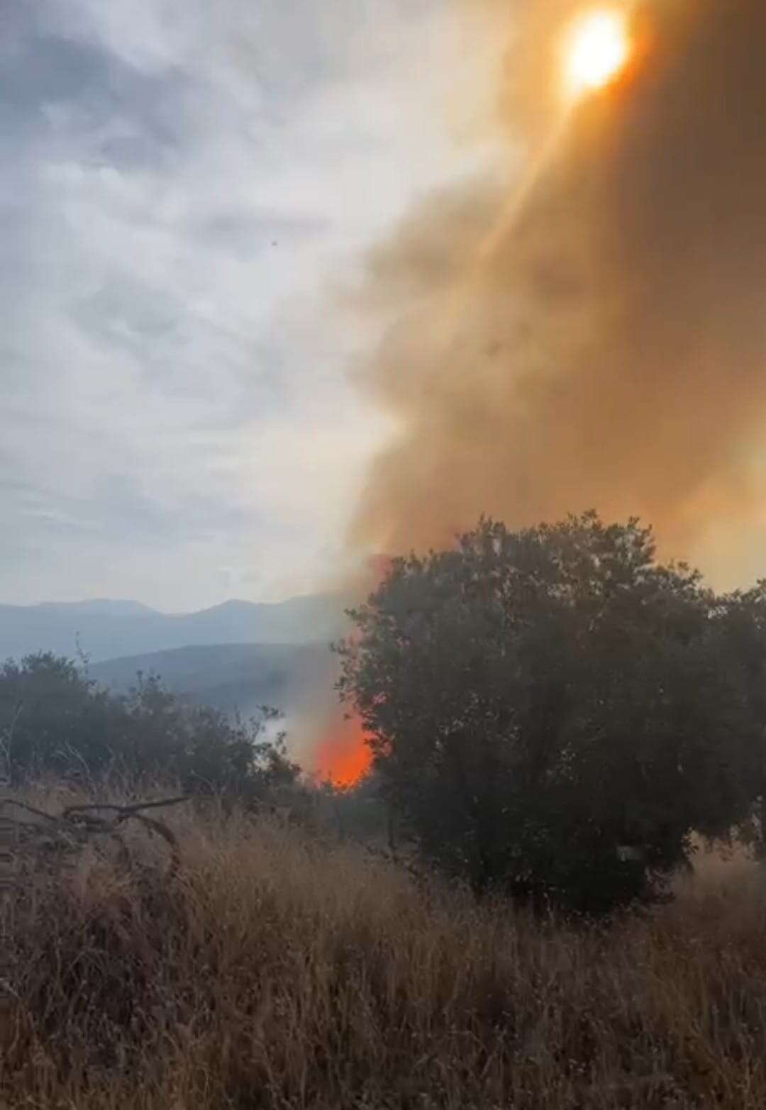 whatsapp-image-2025-11-22-at-15-33-57