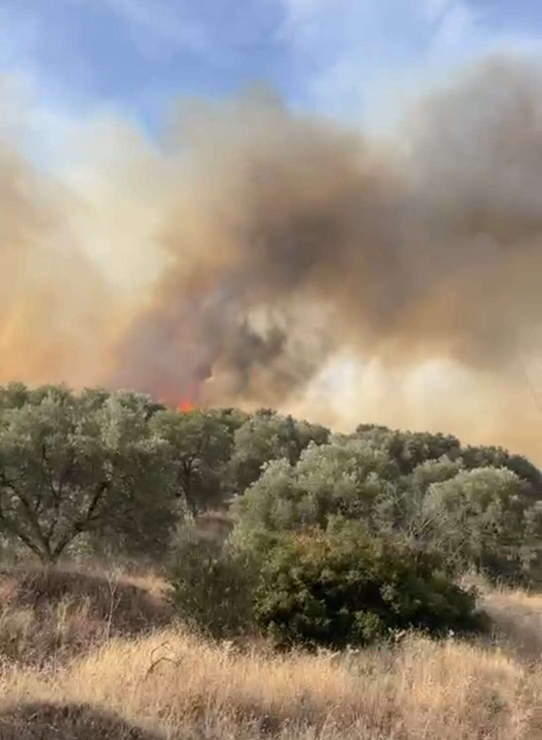 whatsapp-image-2025-11-22-at-15-33-58-1