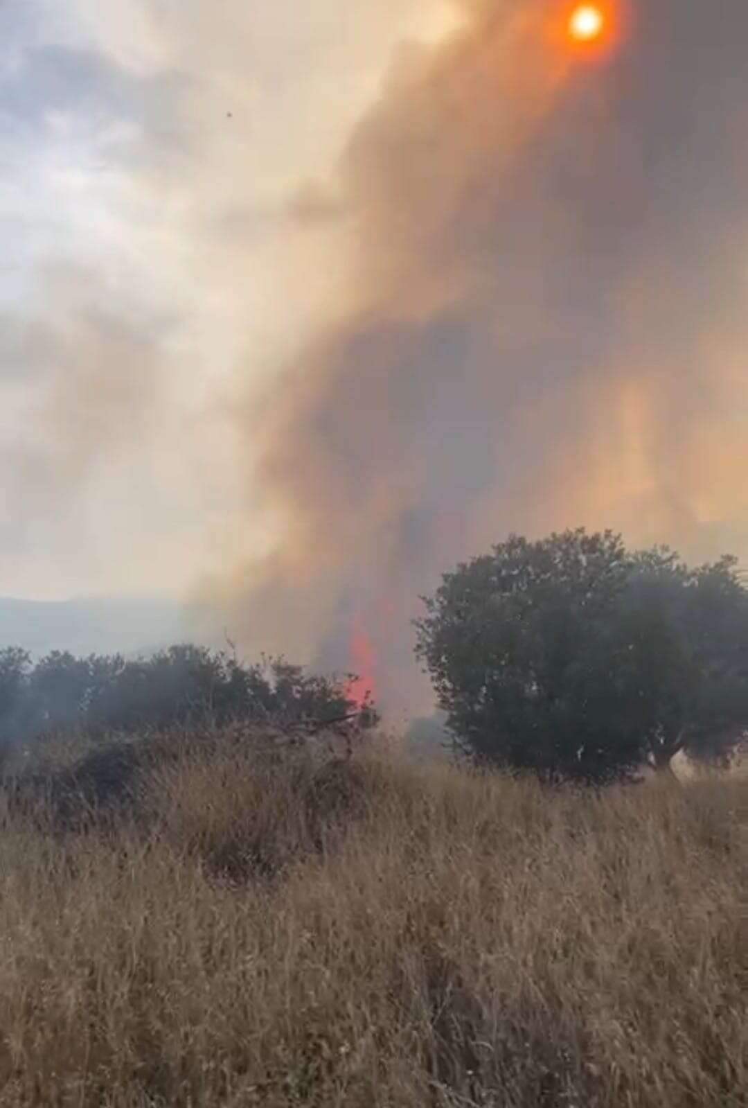 whatsapp-image-2025-11-22-at-15-33-58