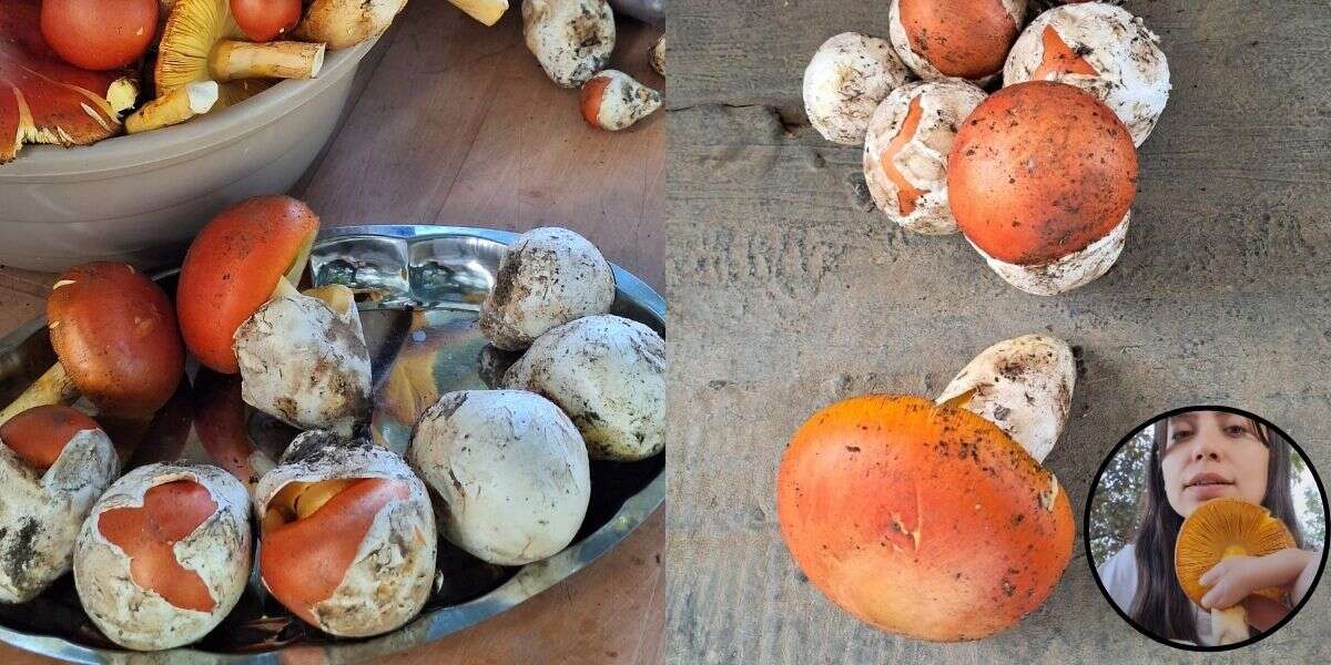 bodrum-belediyesinden-ogrencilere-burs-destegi