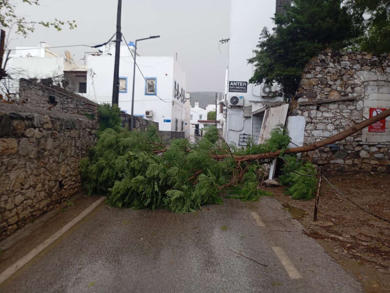 whatsapp-image-2025-11-29-at-10-31-42