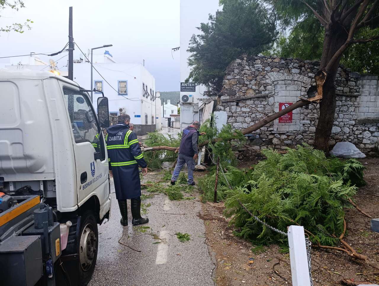 whatsapp-image-2025-11-29-at-10-33-41