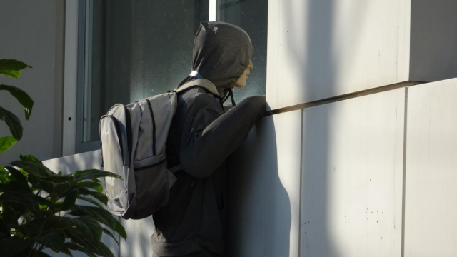 penceredeki-cansiz-manken-hirsiz-i-gorenler-19309786-6535-m